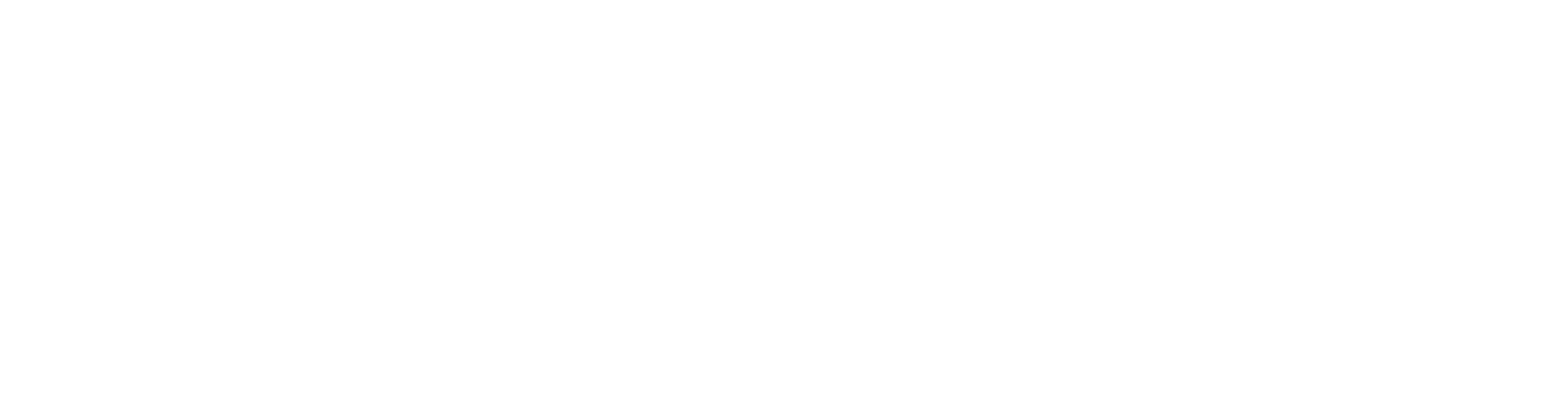Phoenixfits